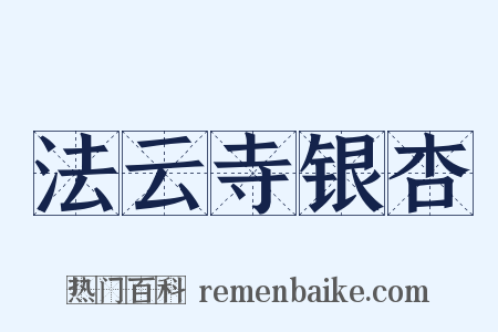 法云寺银杏是什么意思的图片